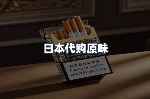 日本代购原味